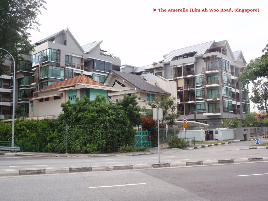 The Amerelle (Lim Ah Woo Road, Singapore)